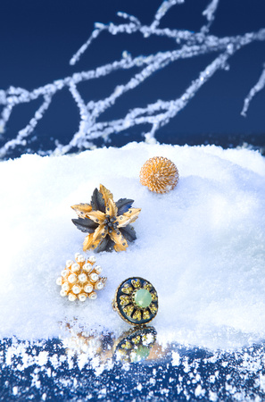Winter Brooches